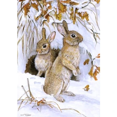 Image of Rabbit Christmas Card. Changed Landscape by Dick Twinney Sustainable Wildlife Greeting Card (5x7 inches)