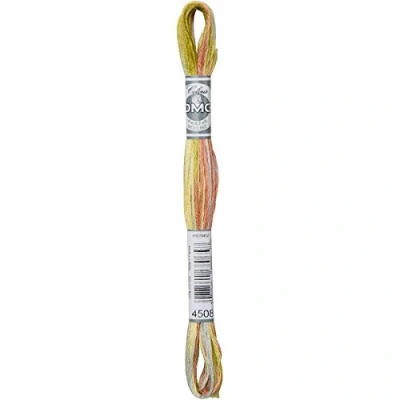Image of DMC Coloris Embroidery Thread Frosted Countryside