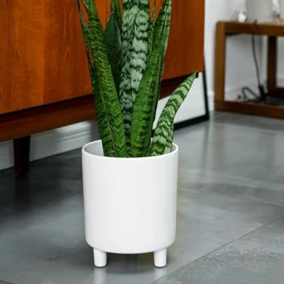 Image of Ivyline Pisa Premium Glaze Ceramic Planter in White Stylish, UV Stable &amp; Waterproof Quality Indoor Decorative Flower Pot H24cm x D20cm