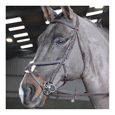 Image of JW RTR MEXICAN BRIDLE
