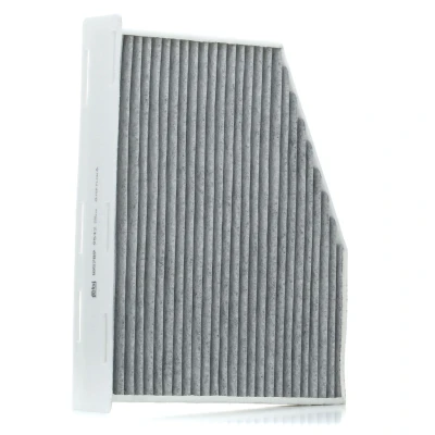 Image of 1K1819653, 1K1819653A, 1K1819653B, 1K1819669 Pollen Filter FEBI BILSTEIN 105789 Insert, Activated Carbon 288mm 213mm 34mm
