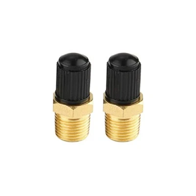 Image of Car Air Valve, Compressor Tank Valve Fydun Tire Stem Caps 2Pcs 1/8&quot; NPT MPT Brass Fill