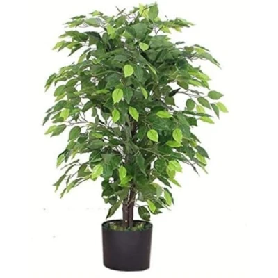 Image of LEAF 7088 Design UK 90cm Artificial Ficus Tree/Plant Large Bushy Shape Black Plastic Pot, Green
