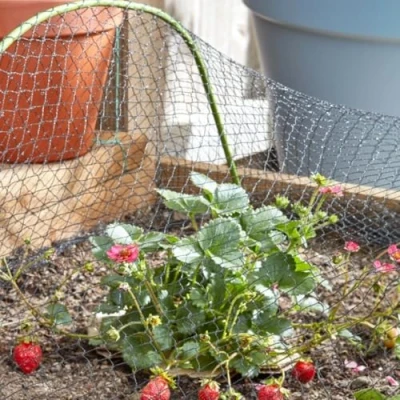 Image of Garden Mile 4m x 10m Black Mesh Fruit Netting 25mm Extra Strong Heavy Duty Pond Net Vegetation Allotment Protection Pest Deterrent Outdoor Gardening Protect Cover