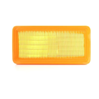 Image of 281131C000 Air Filter ASHIKA 20 H0 008 46,2mm 127mm 254,5mm Insert HYUNDAI: Getz