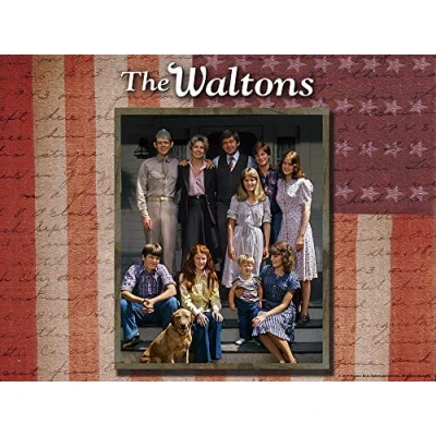Image of Waltons: Complete Eighth Season [DVD] [Region 1] [US Import] [NTSC]
