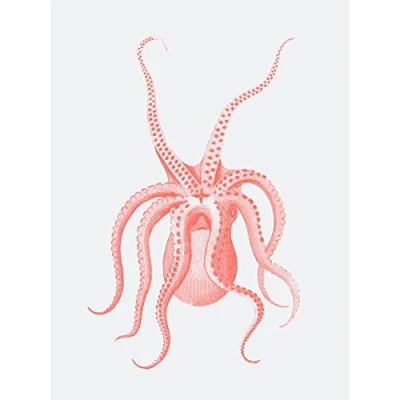 Image of Wee Blue Coo Living Coral Octopus Upside Down Unframed Art Print Poster Wall Decor 12x16 inch