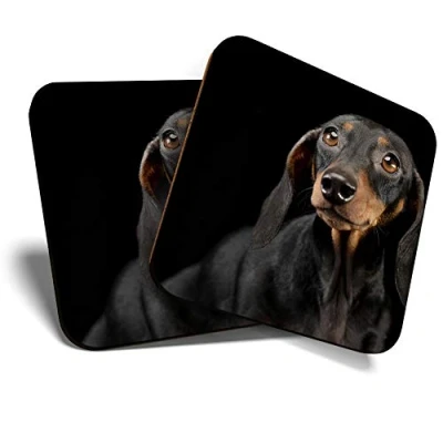 Image of Great Coasters (Set of 2) Square/Glossy Quality Coasters/Tabletop Protection for Any Table Type Cute Dachshund Dog Drawings #21439