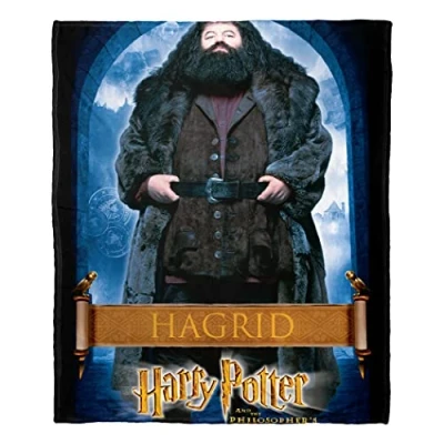 Image of NORTHWEST Harry Potter Silk Touch Throw Blanket, 50&quot; x 60&quot;, Hagrid