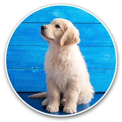 Image of Vinyl Stickers (Set of 2) 25cm Golden Retriever Labrador Puppy #15837
