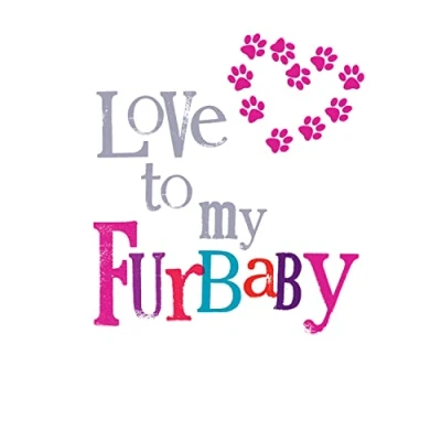 Image of To My Cat Card, Valentine&#039;s Day Card For Valentines Day, Valentine Cards, Cat, Cards