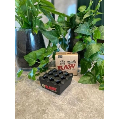 Image of RAW Regal Ashtray Metal Black Original 1 Unit