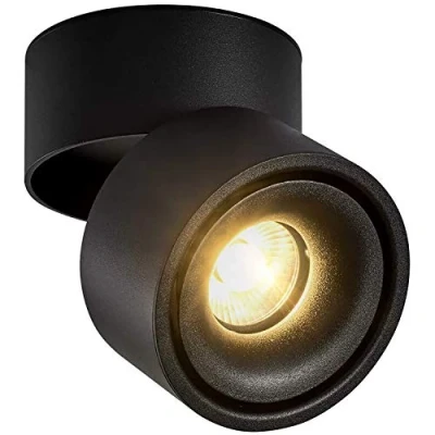 Image of CPROSP 10W Ceiling Spotlight Indoor Rotatable, COB LED Chip, 10 * CM, Natural White 4000 K, Black, Lamp for Kitchen, Living Room