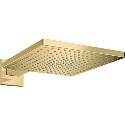 Image of Hansgrohe Raindance E Overhead shower 300 1jet with arm, polished gold optic, 26238990