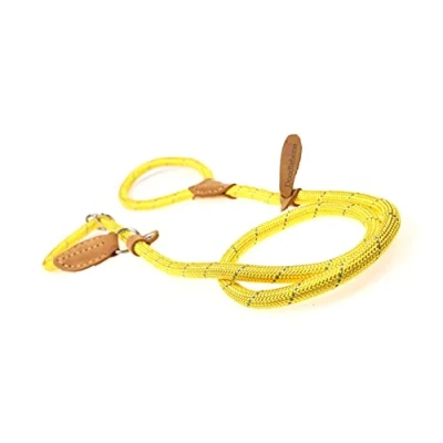 Image of Doodlebone Slip Lead, Sunshine, 12mm