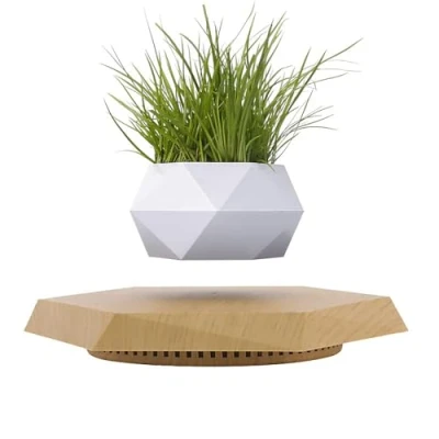 Image of SaiDuoDuo Wooden Levitating Plant Pot, Succulent Pots Planter Cactus Planter, Decor for Home &amp; Office Magnetic Floating Display (white)