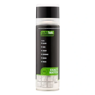 Image of Autotek Professional Exact Match Car Spray Paint, Ford Black Aerosol Spray, 300 ml