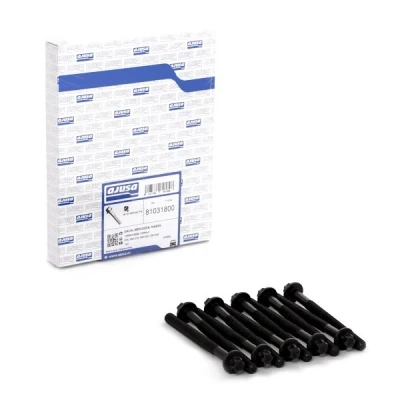 Image of 1111784A00 Cylinder Head Bolt Kit AJUSA 81031800 Male Torx 10 RENAULT: Clio 2, Captur, 4, NISSAN: Qashqai / Qashqai+2 I, Juke