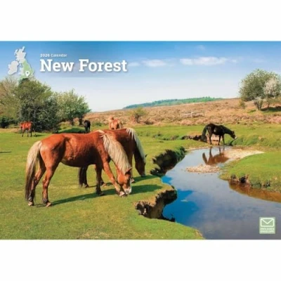 Image of New Forest A4 Calendar 2026