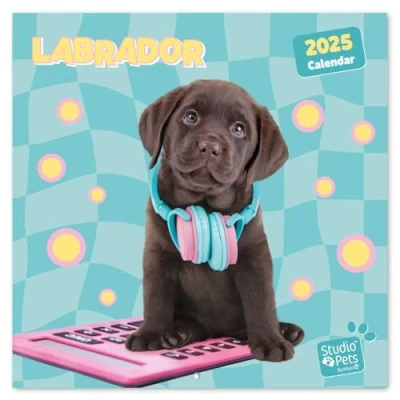 Image of Grupo Erik Wall Calendar 2025 Labrador 12&quot; x Square 2025, Planner Family Dog