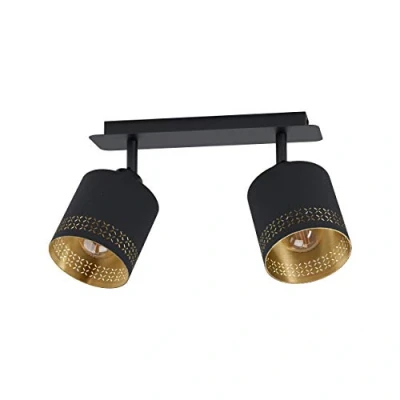 Image of EGLO Spot, Alloy Steel, 2 Bulb Ceiling Light