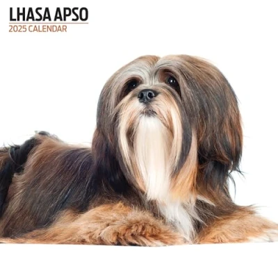 Image of Lhasa Apso 2025 Modern Calendar