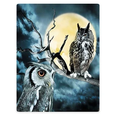 Image of YISUMEI Soft Flannel Fleece Blanket Throw for Bed Sofa,Yellow Moon Owl,125x150cm