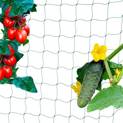 Image of Relaxdays Creeper Net for Greenhouse, HxW: 180x360 cm, Climbing Support, Cucumber, Tomato, Mesh 10 Green, 100% plastic