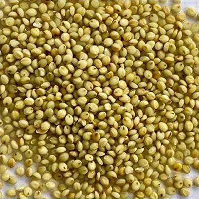 Image of Ancient Grains Organic Brown Top (Browntop) Millet 1kg
