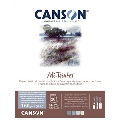 Image of CANSON Mi Teintes Coloured Drawing 160gsm 24x32cm Paper Pack, Double Sided: Honeycomb &amp; Fine Grain, Pad Glued Short Side, 4 Cool Tones, 20 Sheets, Ideal for Professional Artists Illustrators
