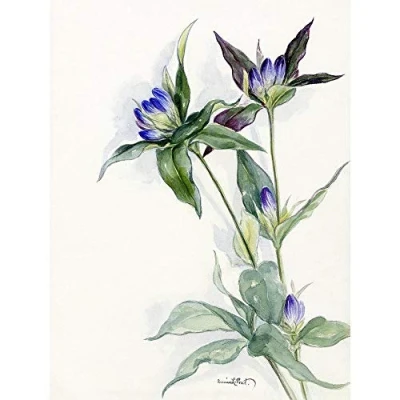 Image of Wee Blue Coo Purple Watercolour Flowers Art Print Poster Wall Decor 12X16 Inch