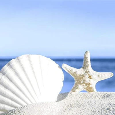 Image of 20 Lunch Napkins Starfish Shells on Sand Beach 33 cm