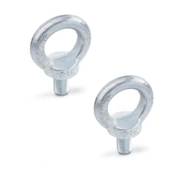 Image of Ganter Normelemente Eye Bolt, DIN 580 M16 ST, Steel, Thread M16, Pack of 2