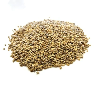 Image of 200g Foreign Finch Seed SLJ