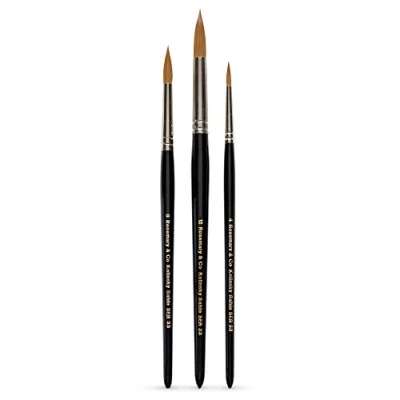 Image of Rosemary &amp; Co : Watercolour Brush Set of 3