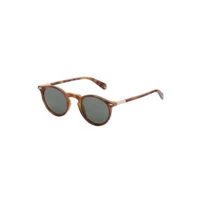 Image of Polaroid Sunglasses, Size: One Size, Dark havana