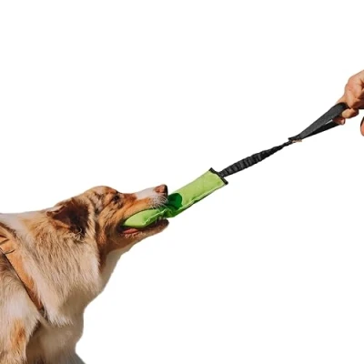 Image of Dingo Bite Tug Agility Bungee Dog Toy Green with Black Handle 15597