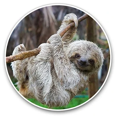 Image of Vinyl Stickers (Set of 2) 10cm Baby Sloth Lazy Animal Decals for Laptops,Tablets,Luggage,Scrap Booking,Fridges, 13048