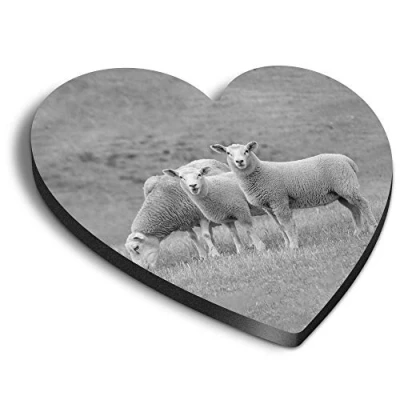 Image of 1 x Heart MDF Magnets Sheep Herd Farm Farmer Animal 42285