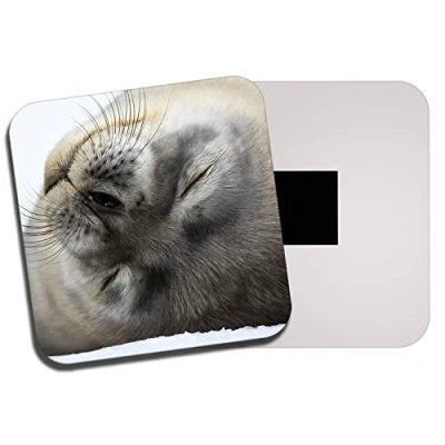 Image of 1 x Cute Grey Seal Pup Fridge Magnet Baby Animal Kids Mum Auntie Gran #8244