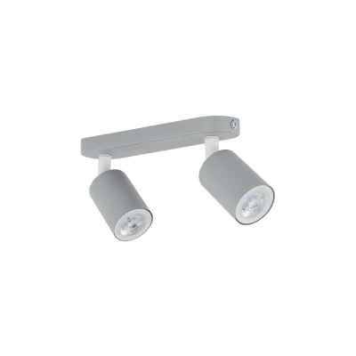 Image of TK Lighting Livia downlight, grey, length 35 cm, steel, 2 bulb.