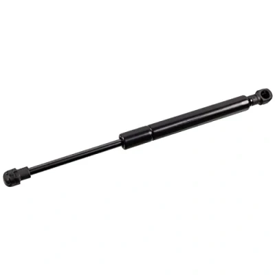 Image of BKK760010, XH4216E610AA Bonnet Struts FEBI BILSTEIN 40907 both sides 410N LAND ROVER: Range Rover 3