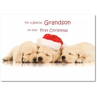 Image of doodlecards Grandsons 1st First Christmas Card Puppies with Santa Hat Medium Size for Plain Envelope