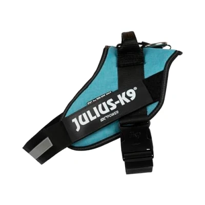 Image of IDC Powerharness, Size: 2/XL, Turquoise