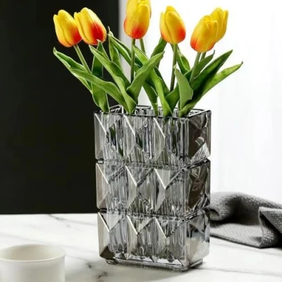 Image of 20 cm Crystal Glass Vase, Thickened Clear Flower Large Square Decorative Vases, Flowers, Modern Farmhouse Centrepiece, Home Room Decor (Grey)
