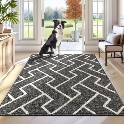 Image of Biscpro Indoor Door Mats,80x120cm Mat Non Slip Backing,Dirt Trapper Absorbent Doormat for Entrance,Inside,Kitchen,Front Back Door,Pets and Garden Black
