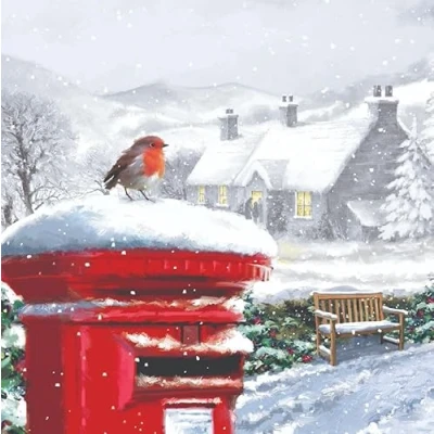 Image of Paper Themes 10 pack of Luxury Christmas Cards with Envelopes (Robin on Postbox)