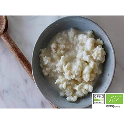 Image of Large portion Kombuchaorganic Certified Organic by OF&amp;G Milk Kefir Grains Tibetan Mushroom 10g
