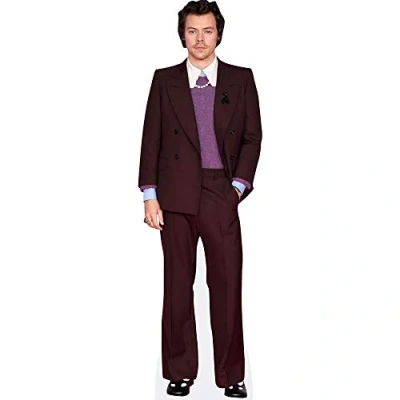 Image of Harry E. Styles (Burgundy Suit) Mini Size Cutout