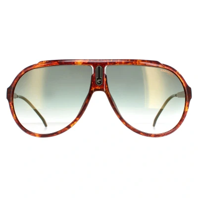 Image of Carrera Aviator Unisex Havana Green Gradient With Gold Mirror Endurance 65/N Brown One Size
